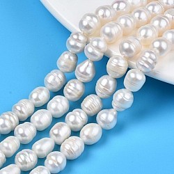 Perlas