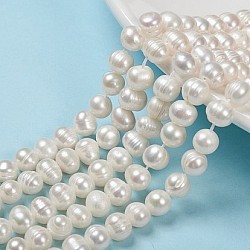 Perlas